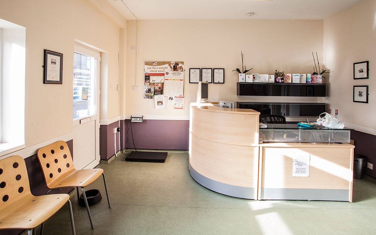 Valley Vets Caerphilly Veterinary Surgery Reception