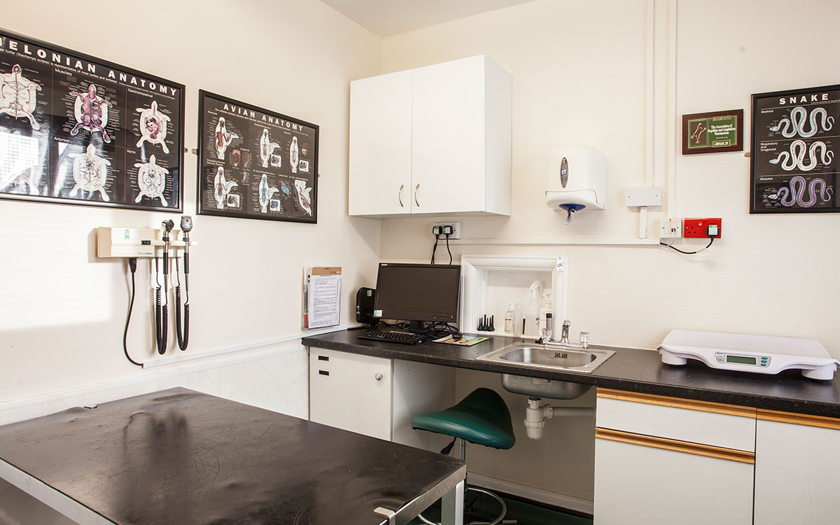 Valley Vets in Cardiff - Cardiff Veterinary Hospital