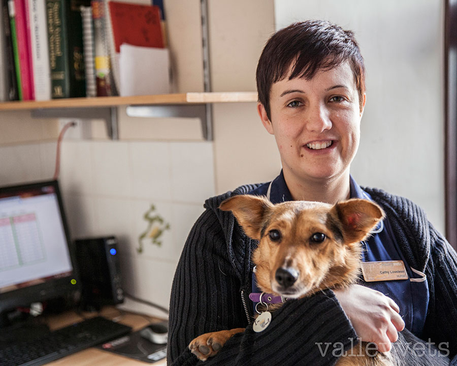 Direct Claim Co-Ordinator