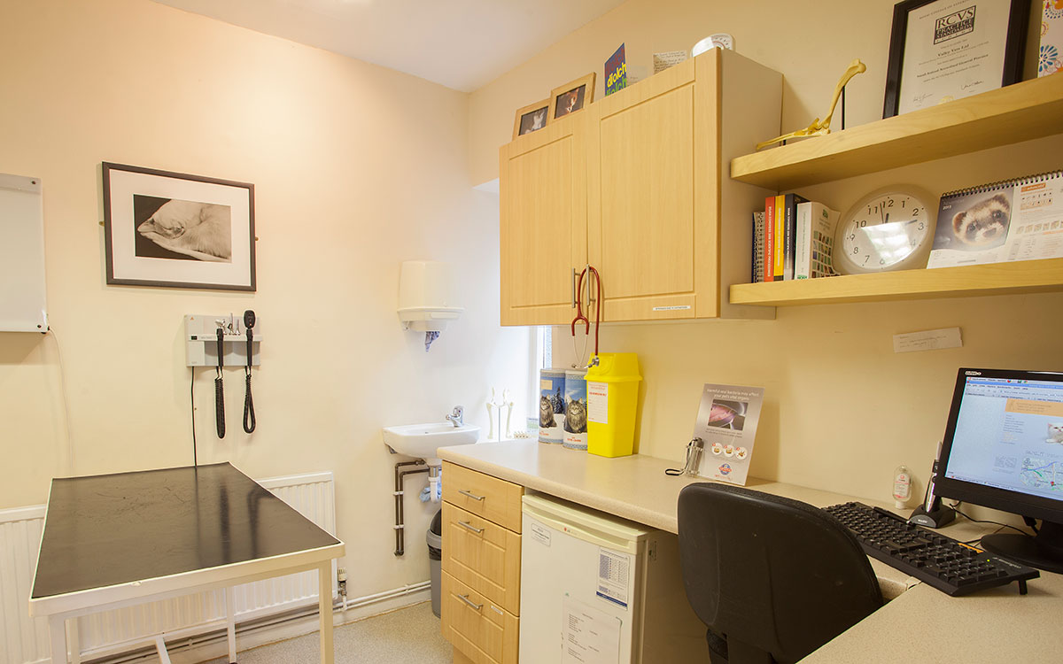 Valley Vets Pentyrch Veterinary Surgery Examination Room