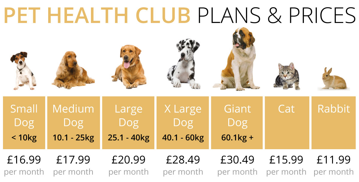 Valley Vets Pet Health Club | Valley Vets Ltd Valley Vets Pet Health Club | Valley Vets Ltd