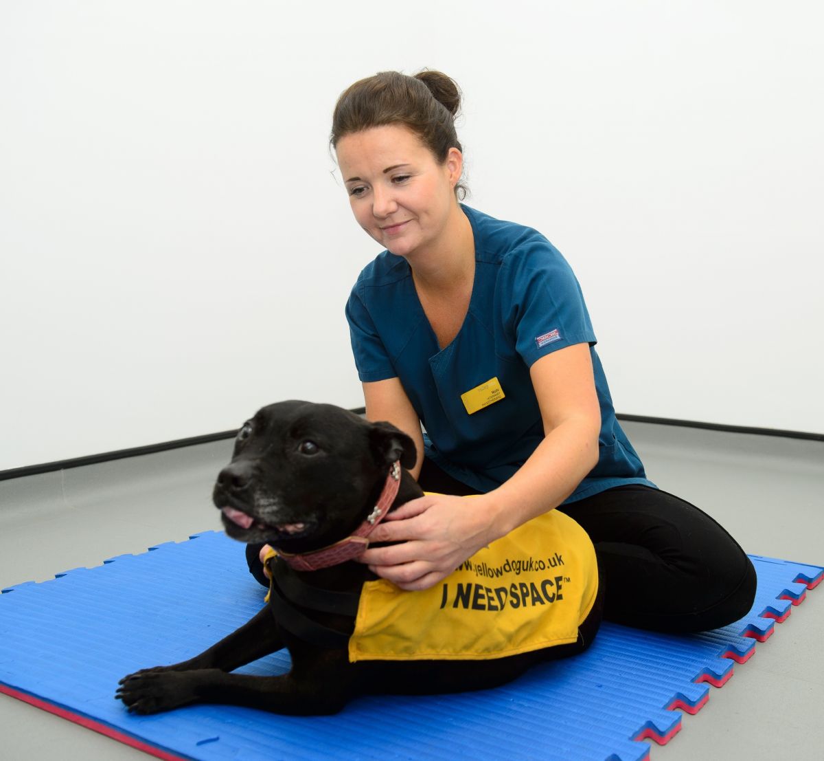 Valley Vets physiotherapist, Nichi Cockburn specialising in animal rehabilitation and physiotherapy at our prestigious physiotherapy suite.