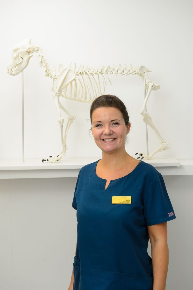 Valley Vets physiotherapist, Nichi Cockburn specialising in animal rehabilitation and physiotherapy at our prestigious physiotherapy suite.