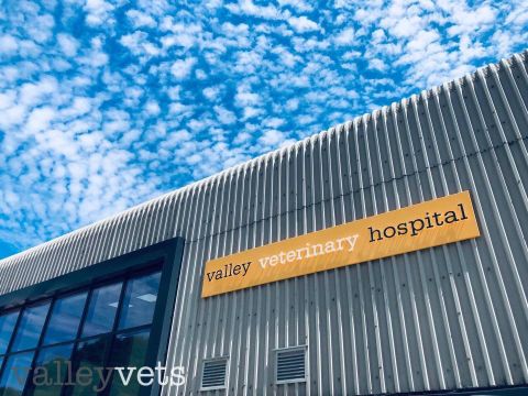 South valley veterinary hospital hot sale