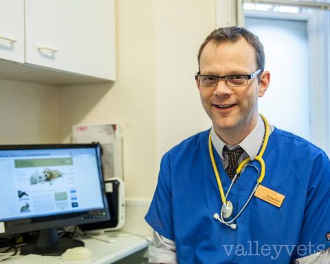 Vet in focus... Vet in focus...