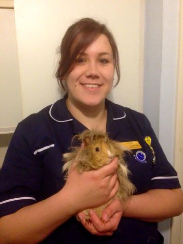 Animal Nursing Assistant Animal Nursing Assistant