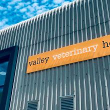 Valley Vets physiotherapy - Dedicated animal hospital with prestigious physiotherapy suite