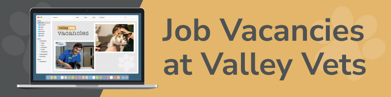 Job Vacancies at Valley Vets