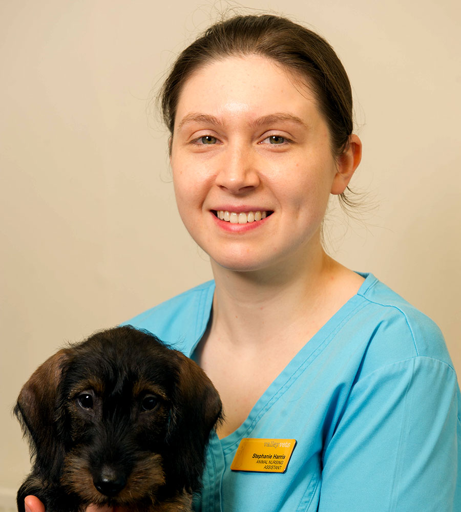 Steph Harris | Valley Vets Ltd | Your Local Vet in Cardiff, Caerphilly,  Ystrad Mynach and Pentyrch