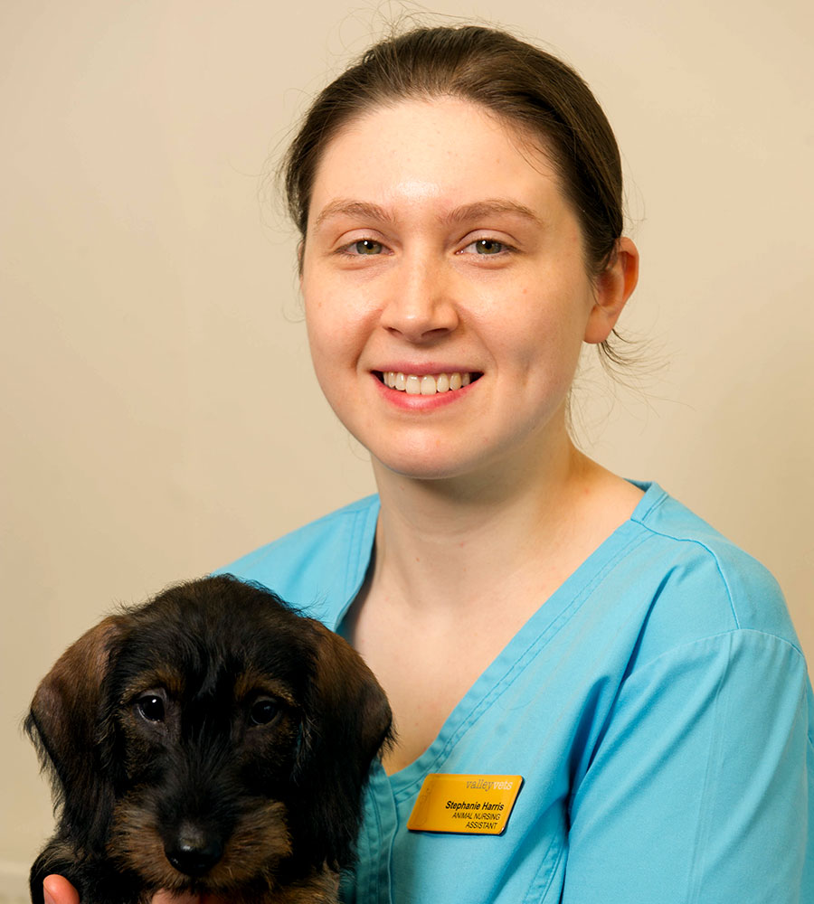 valleyvets_cardiff_16