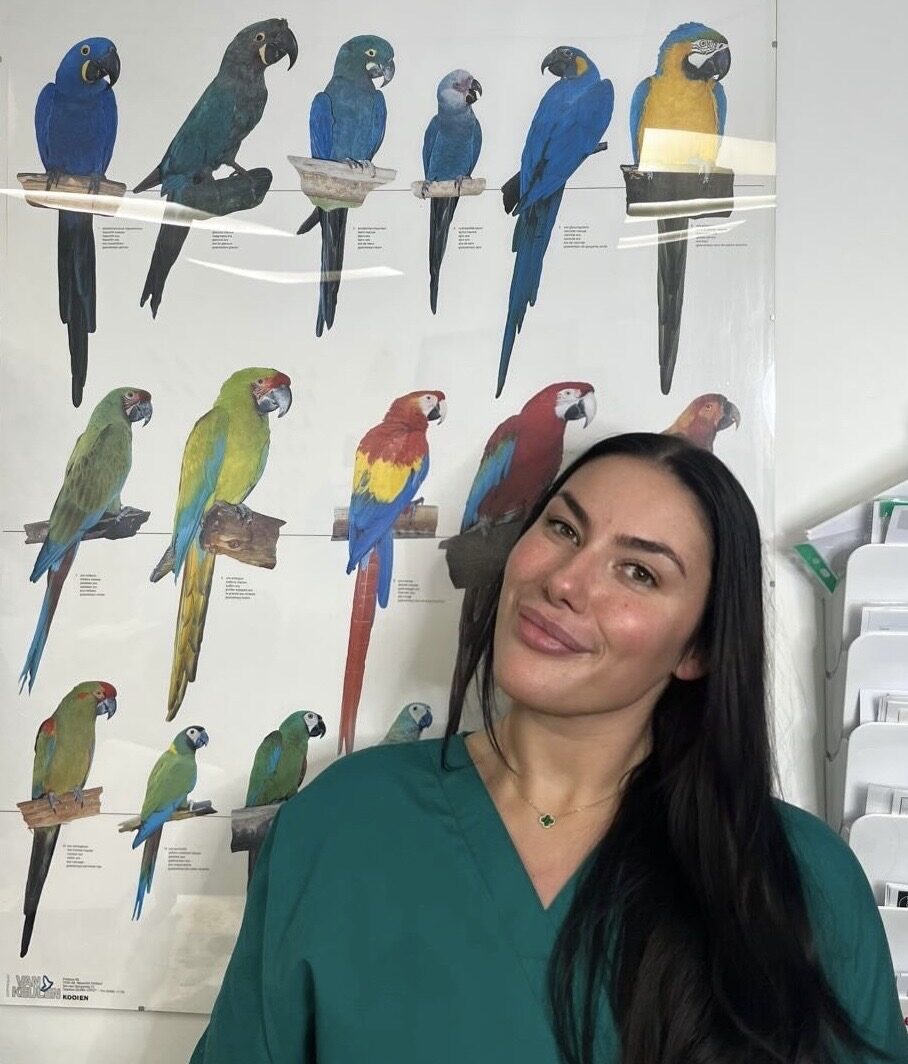 2a4cdc77-3f8b-49df-80a0-15b5def8205e